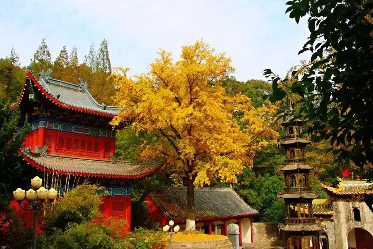 信阳罗山灵山寺