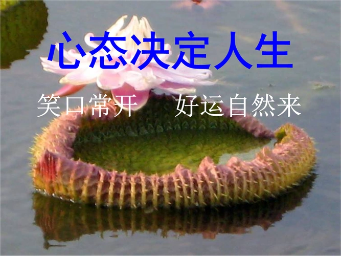 心态决定人生-配背景音乐版(精)-开心休闲感悟晨会早会幻灯投影片ppt