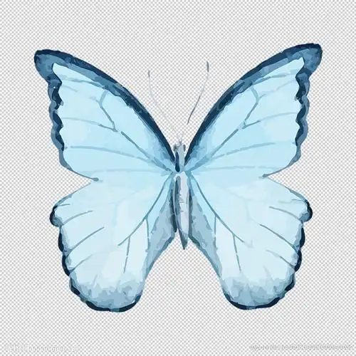 透明底蝴蝶设计图__图片素材_其他_设计图库_昵图网nipic.com