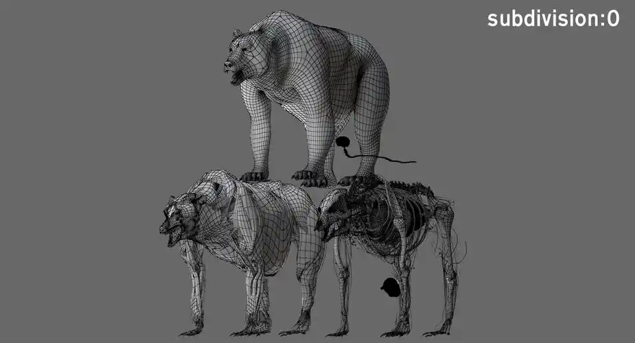 熊解剖学(毛皮)3d模型