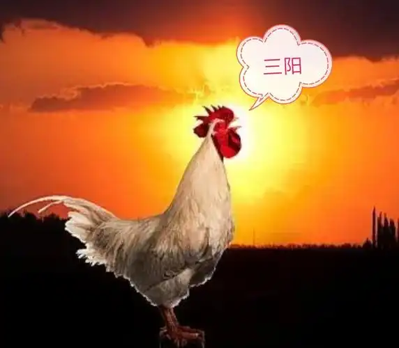 起的比鸡早睡的比狗晚吃的比猪少干的比牛多早上好银狐爱心献花