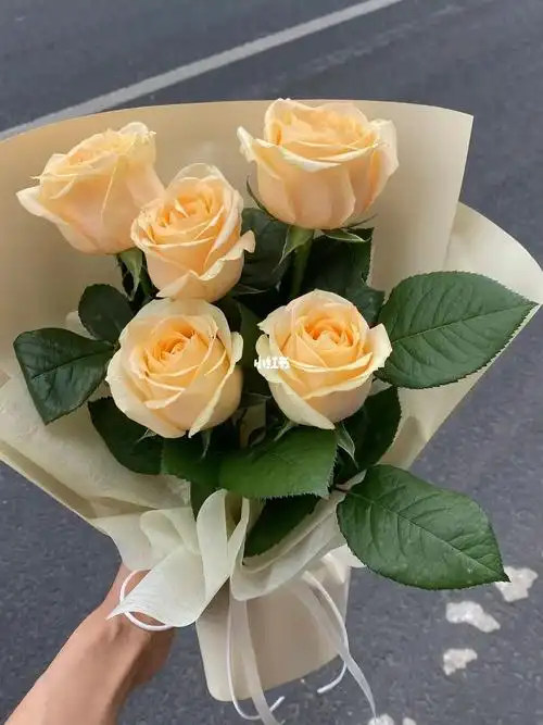 简简单单的香槟玫瑰小花束南京花店