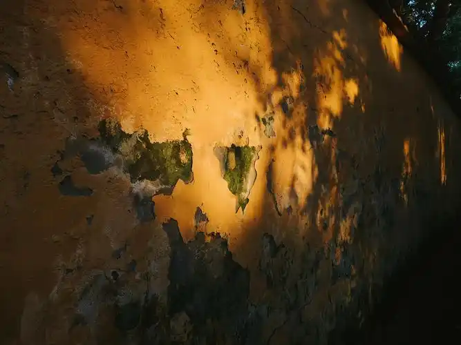 光影斑驳的老墙