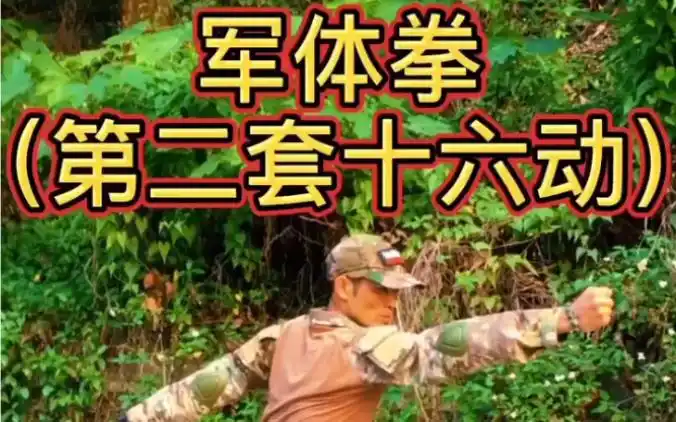 军体拳第二套十六动
