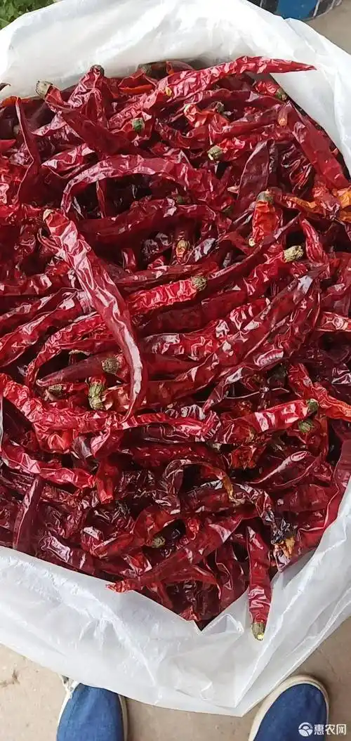 贵州省二荆条干辣椒今年新货!邮费自付
