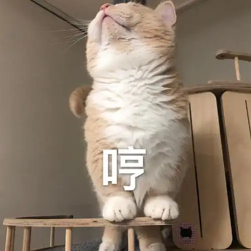 萌宠汪星人哼生气嫌弃gif动图_动态图_表情包下载_soogif