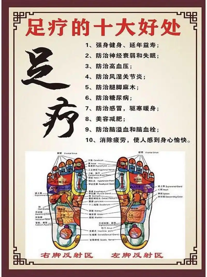 足部反射区是指人体的脏腑组织器官在人体双足部所对应的解剖部位