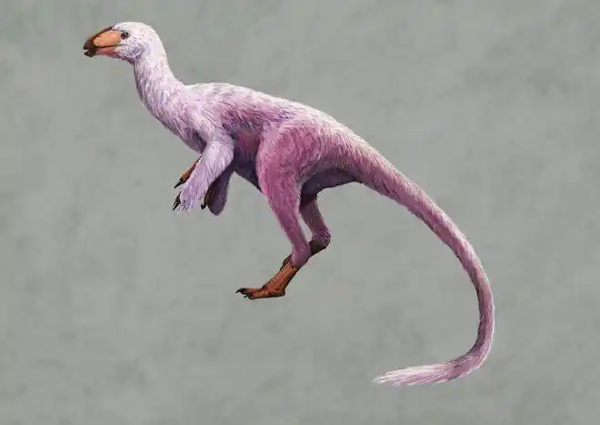 临河猎龙赣州龙中国似鸟龙你想象中的恐龙是不是都是灰灰土土的,深