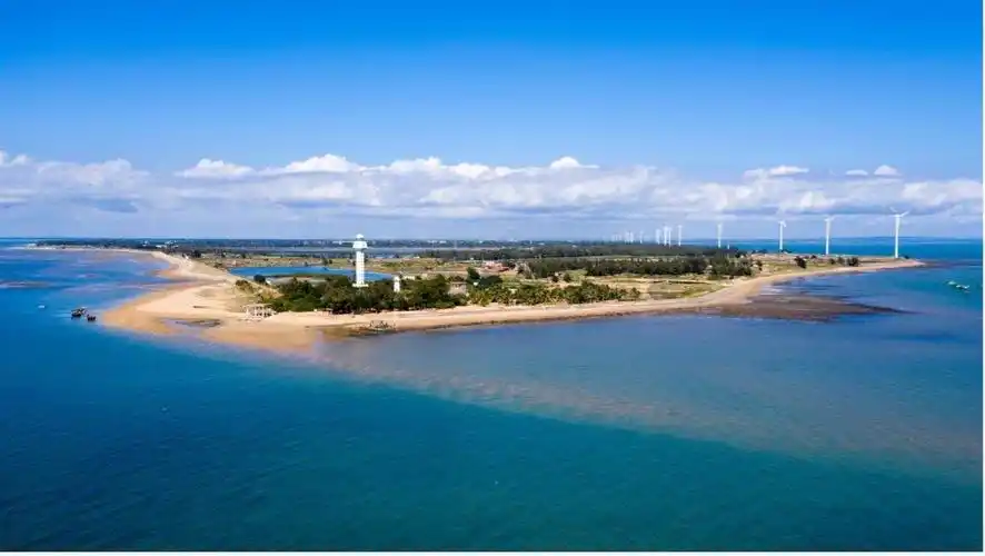 五一粤游粤有味:看第一缕阳光,吃一口脆甜菠萝,品一杯蜜香蝉茶_徐闻县