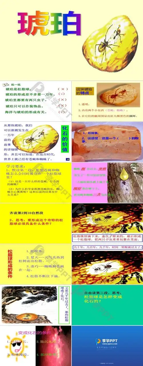 琥珀ppt课件4