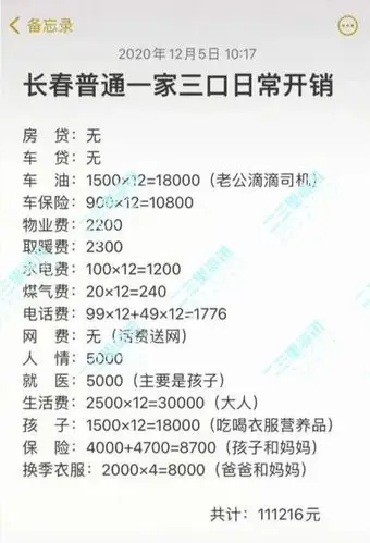 东北三口之家日常年花销11万网友晒账单评论区热闹了