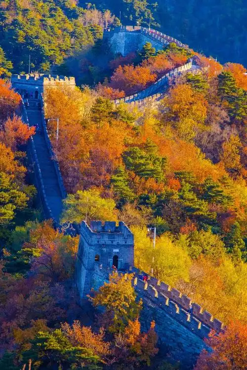 遇见最美秋叶层林尽染美长城