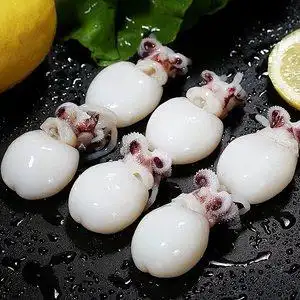 鲜冻小墨鱼仔新鲜鲜活冷冻小墨鱼海鲜生鲜墨鱼花枝目鱼小乌贼
