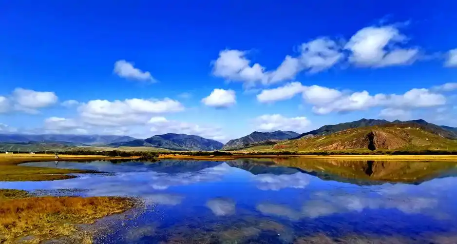 甘南桑科草原印象