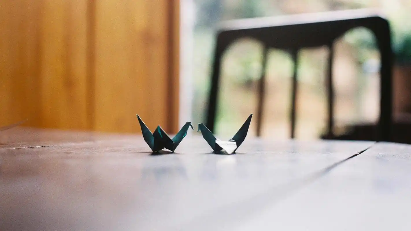 治愈系小清新静物唯美高清壁纸