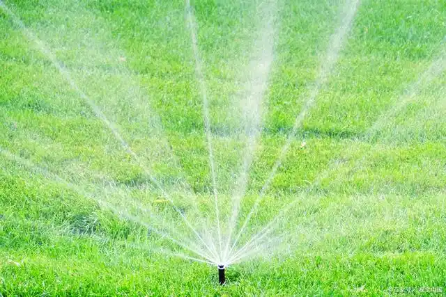 散射喷头射程比摇臂喷头小,适用于绿地灌溉,比如草坪灌溉等.