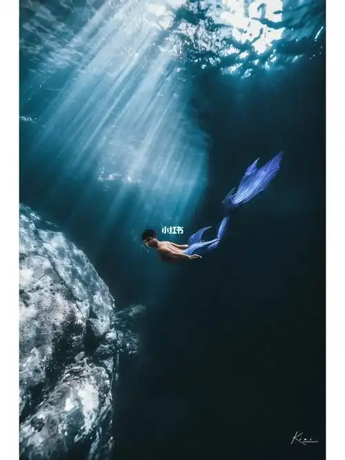 都是自由潜美人鱼那就发一发美男鱼吧