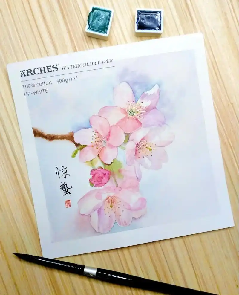 水彩画分步骤图桃花