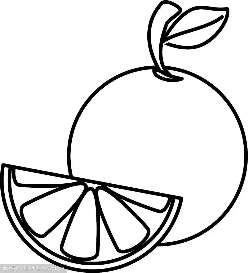 橙子半新鲜水果健康