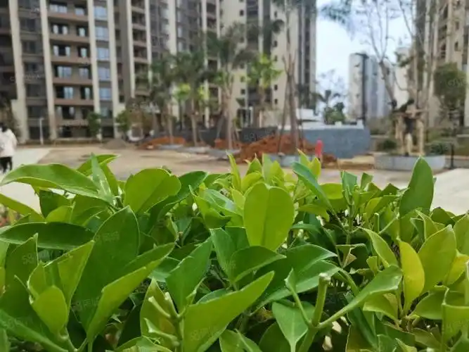 【19图】康城一品 南北通透, 万 可分期 零公摊,平安东路1号-贺州58