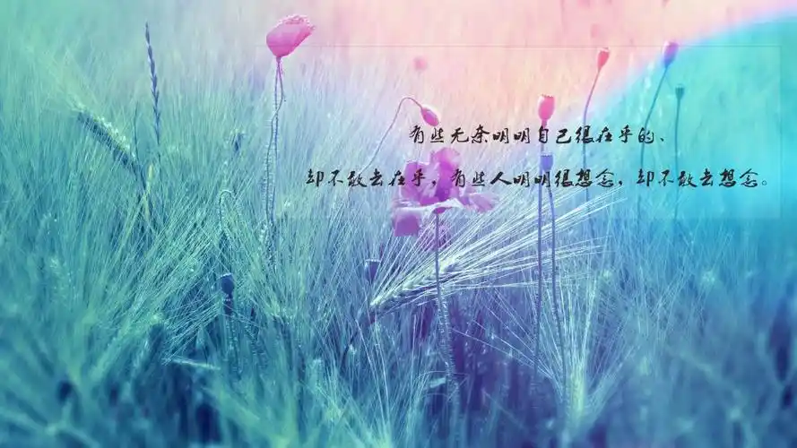 人生很无奈的伤感说说图片2