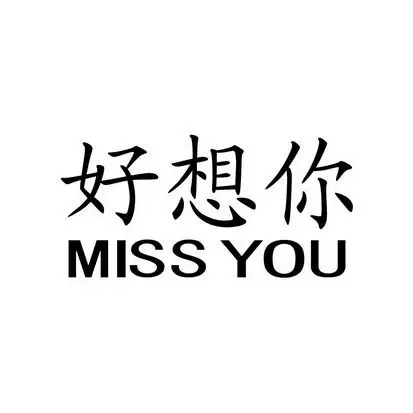 em>好想 /em> em>你 /em> miss you