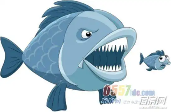 来自神秘亚马逊河的食人鱼,向来生猛的鳄鱼,鲨鱼,可爱的鸭嘴鱼通通