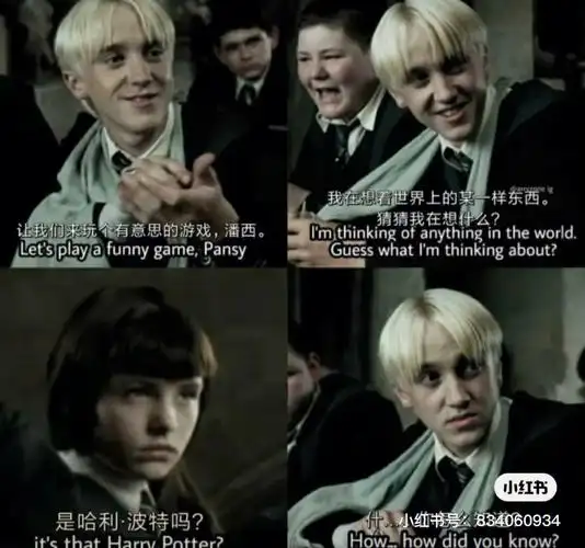 哈利波特和马尔福