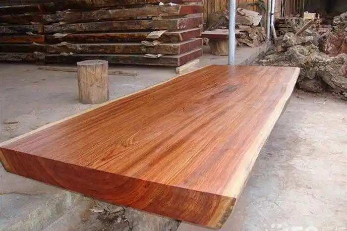 红豆杉木材的功效与作用红豆杉可以直接用于抗癌吗