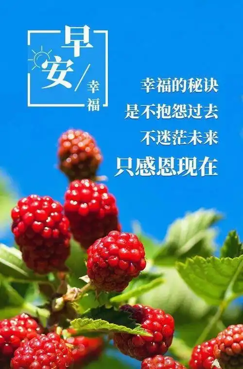 周末早安心语正能量唯美句子清晨早安图片正能量问候语