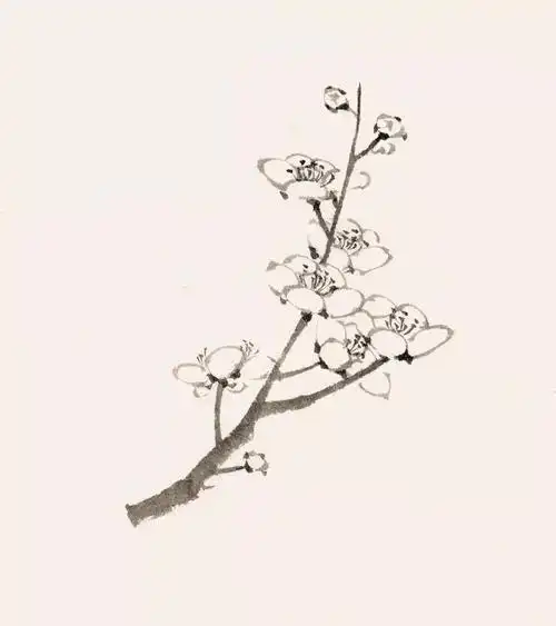 梅花入画冬日芳华愿你是一朵如梅的女子