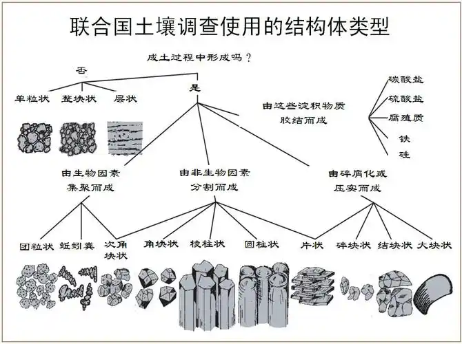 土壤结构体类型