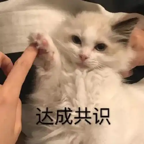 萌宠猫星人击掌达成共识呆萌可爱gif动图_动态图_表情包下载_soogif