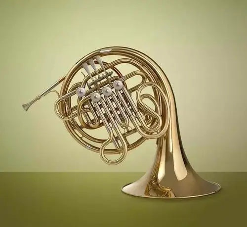 法国号的乐器(法国乐器有哪些)