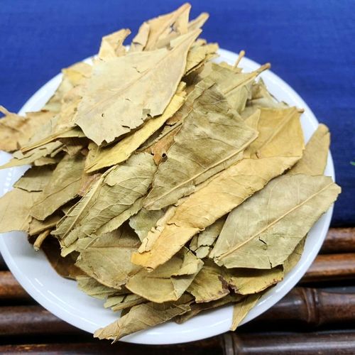 橘叶 500g克 散装金桔青桔子叶橘子叶泡茶非野生中药材大全