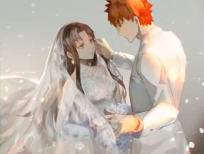 fatestaynight士凛卫宫士郎远坂凛p站weed