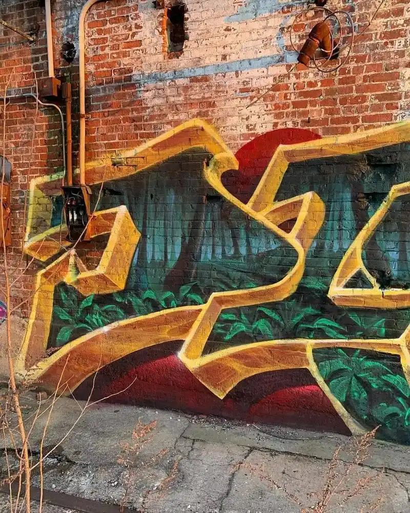 虎年写实涂鸦piece.#图文#ins分享 #喷漆 #当代艺 - 抖音