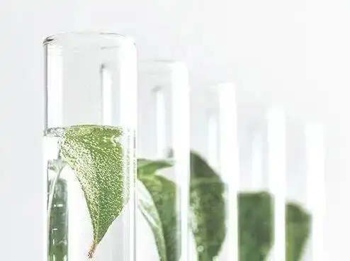 日本进口的通鼻秘籍植物萃取小巧便携大人孩子都能用