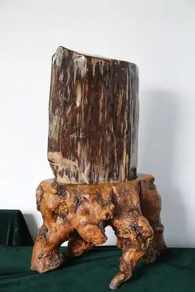 褐色树化石奇石