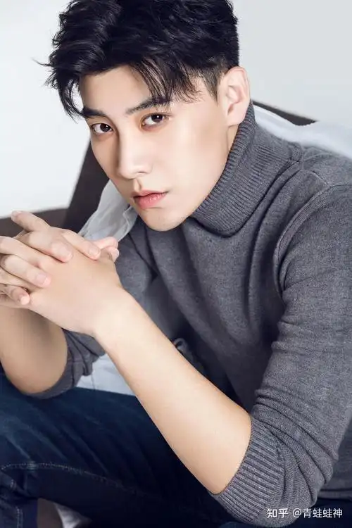 中国34省最帅男明星代表不服来辩