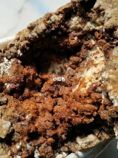 酱块发酵2个月的样子