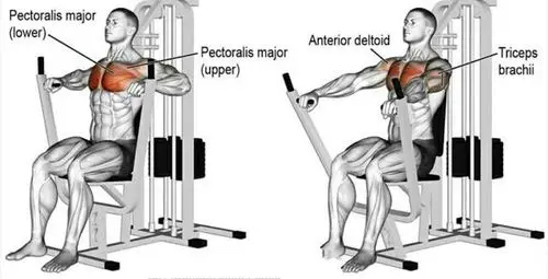 胸部锻炼经典,7个动作虐爆整个胸肌,练出完美胸大肌|胸肌|哑铃|胸部