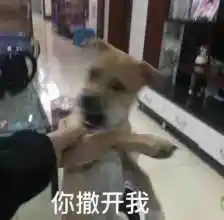 0 0 按太阳穴轮刮眼廓 3500 suboom  发布到  谜 收集 90 0 0 表情包