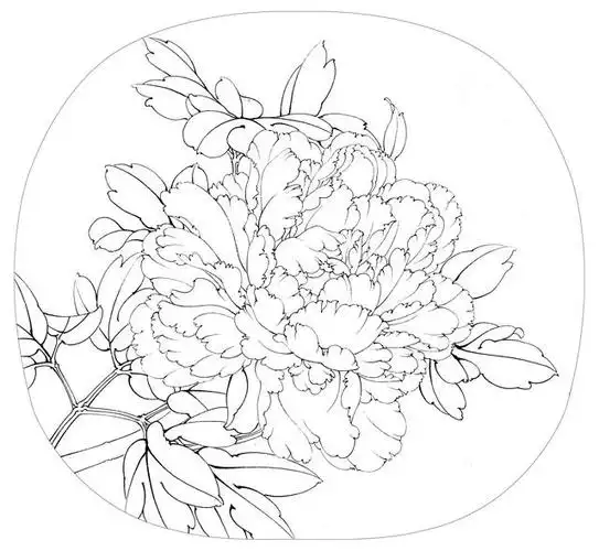 高清工笔牡丹白描 158幅(下)喜欢的收藏关注