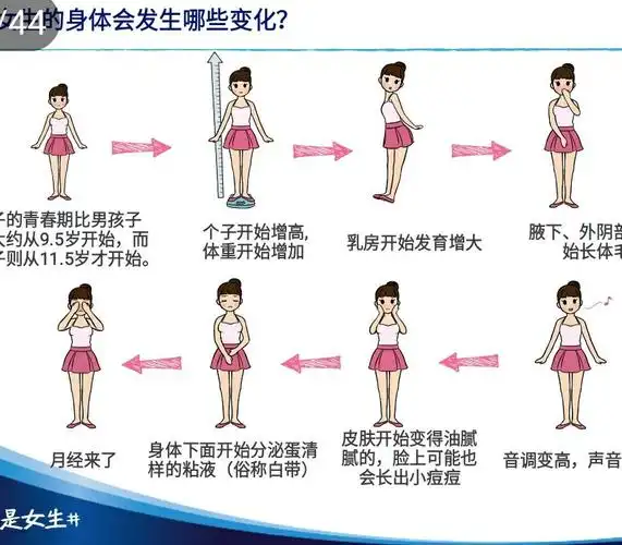 青春期教育讲座 写美篇     青春期是由儿童逐渐发育成为成年人的过渡