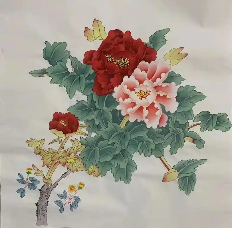 国画工笔画牡丹花四尺斗方 - 抖音