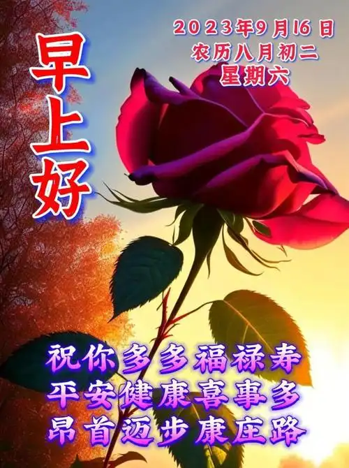 9月16日早安漂亮图片问候祝福语|快乐|清晨|幸福|好运|早上好_网易