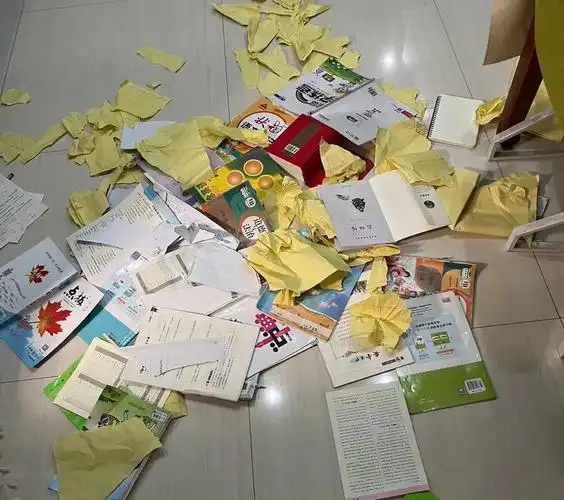 "配图是一张凌乱的图,教材也好,练习册也罢,通通都被撕坏了,简直就像