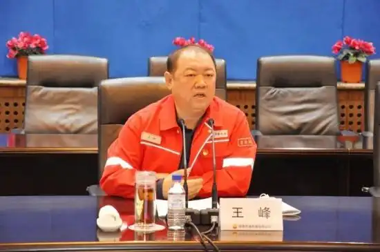 王峰在宣讲中指出,公司上下要深刻领会和全面把握党的二十大关于国有