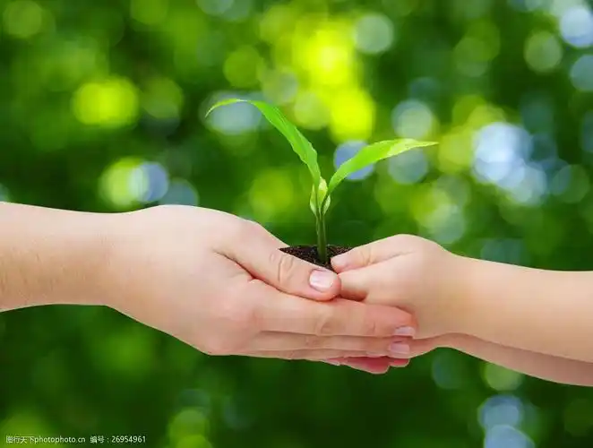 捧着植物新芽的手势图片